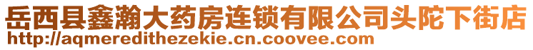 岳西縣鑫瀚大藥房連鎖有限公司頭陀下街店