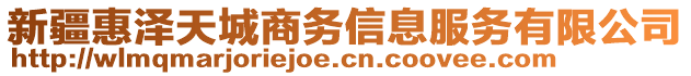 新疆惠澤天城商務(wù)信息服務(wù)有限公司