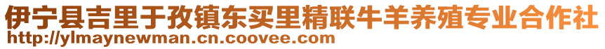 伊寧縣吉里于孜鎮(zhèn)東買里精聯(lián)牛羊養(yǎng)殖專業(yè)合作社