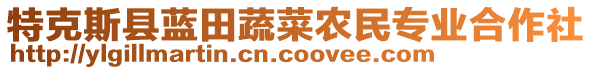 特克斯县蓝田蔬菜农民专业合作社