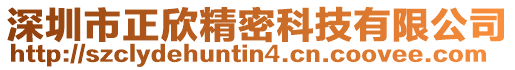 深圳市正欣精密科技有限公司