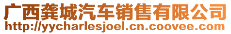 廣西龔城汽車銷售有限公司