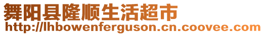 舞陽縣隆順生活超市