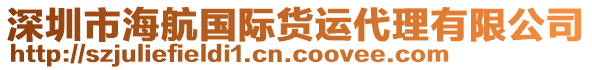 深圳市海航國(guó)際貨運(yùn)代理有限公司