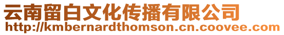 云南留白文化傳播有限公司