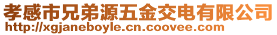 孝感市兄弟源五金交電有限公司