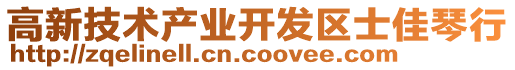 高新技術(shù)產(chǎn)業(yè)開發(fā)區(qū)士佳琴行