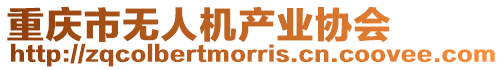重慶市無人機產業協會