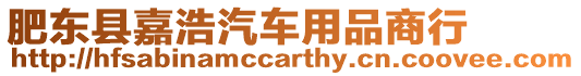 肥東縣嘉浩汽車用品商行