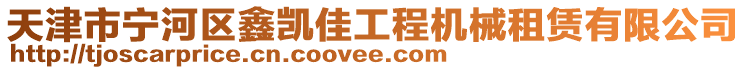 天津市寧河區鑫凱佳工程機械租賃有限公司