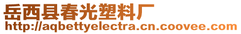 岳西縣春光塑料廠