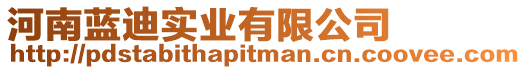 河南藍迪實業有限公司