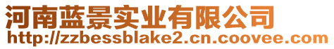 河南藍(lán)景實(shí)業(yè)有限公司