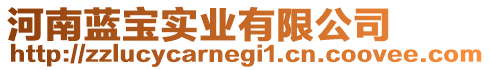 河南藍寶實業有限公司