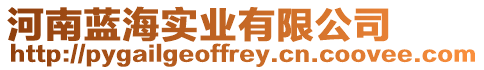 河南藍海實業(yè)有限公司
