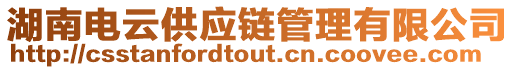 湖南電云供應(yīng)鏈管理有限公司