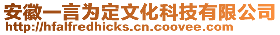 安徽一言為定文化科技有限公司