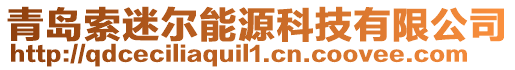 青島索迷爾能源科技有限公司