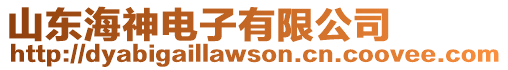 山東海神電子有限公司
