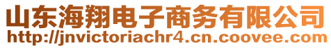 山東海翔電子商務(wù)有限公司