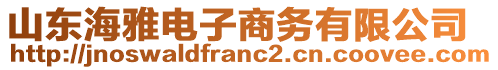 山東海雅電子商務有限公司