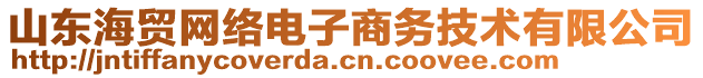 山東海貿(mào)網(wǎng)絡(luò)電子商務(wù)技術(shù)有限公司