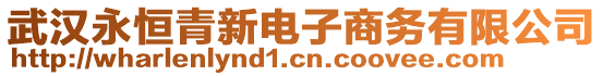 武漢永恒青新電子商務有限公司