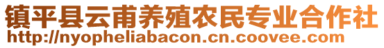 鎮(zhèn)平縣云甫養(yǎng)殖農民專業(yè)合作社