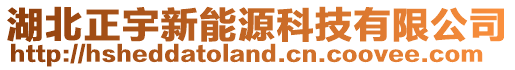 湖北正宇新能源科技有限公司