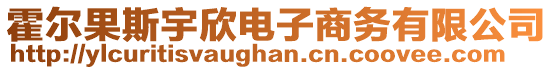 霍爾果斯宇欣電子商務(wù)有限公司