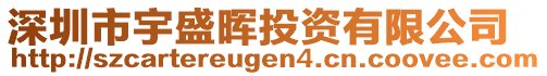 深圳市宇盛暉投資有限公司