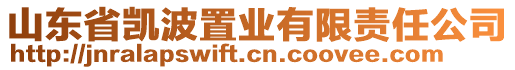 山東省凱波置業(yè)有限責(zé)任公司