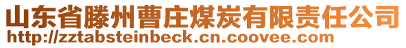 山東省滕州曹莊煤炭有限責(zé)任公司