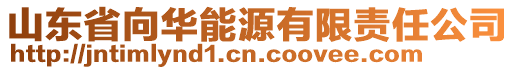 山東省向華能源有限責(zé)任公司