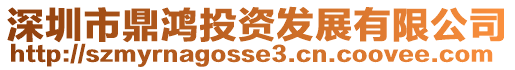 深圳市鼎鴻投資發展有限公司