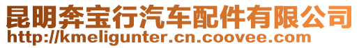 昆明奔寶行汽車配件有限公司