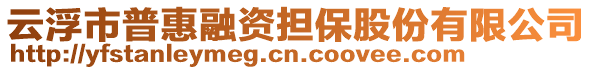 云浮市普惠融資擔(dān)保股份有限公司