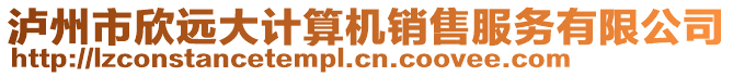 瀘州市欣遠大計算機銷售服務有限公司