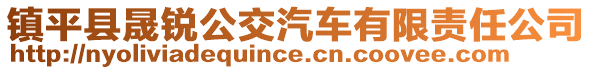 镇平县晟锐公交汽车有限责任公司