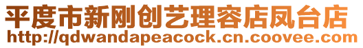 平度市新剛創(chuàng)藝?yán)砣莸犋P臺(tái)店