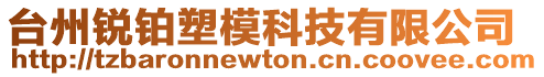 臺州銳鉑塑模科技有限公司