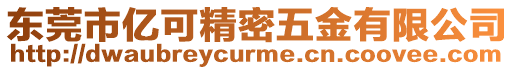 東莞市億可精密五金有限公司