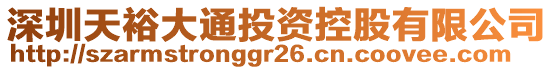 深圳天裕大通投資控股有限公司