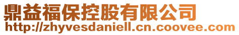 鼎益福保控股有限公司