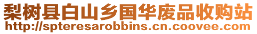 梨樹縣白山鄉(xiāng)國華廢品收購站