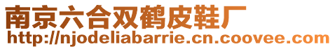 南京六合雙鶴皮鞋廠
