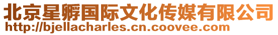 北京星孵國際文化傳媒有限公司