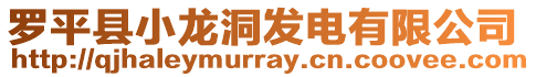 羅平縣小龍洞發電有限公司