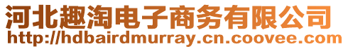 河北趣淘電子商務有限公司