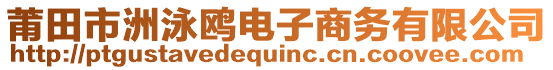 莆田市洲泳鷗電子商務(wù)有限公司